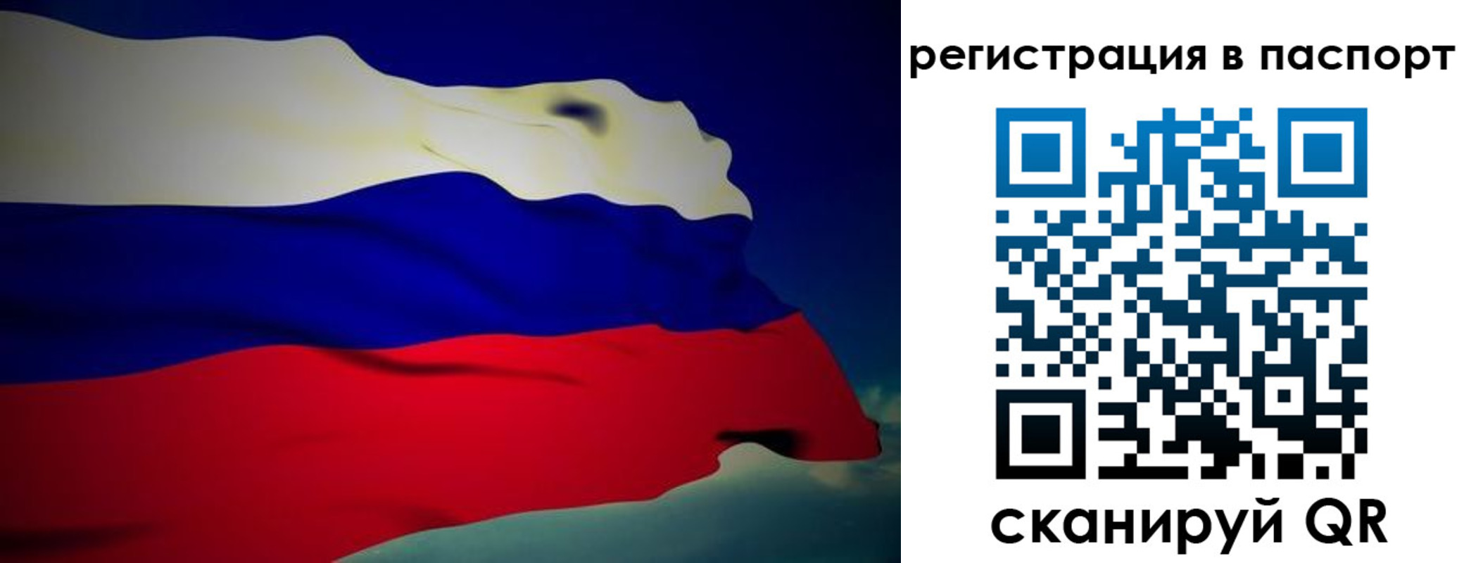 прописка законно в Липецкая области